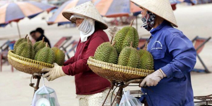 Berita Thailand-RI Lewat! Durian dari Negara Ini Semakin Populer di China