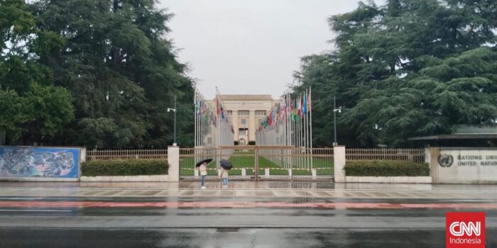 Berita Staf PBB di Afghanistan Dapat Ancaman Pembunuhan