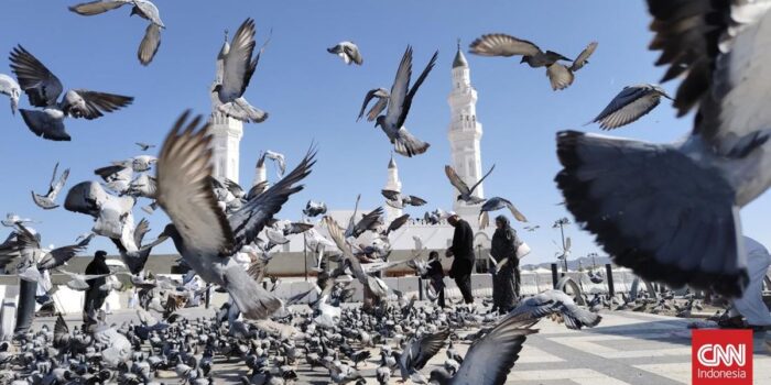 Berita Merpati Terbang dan Damai di Masjid Quba Madinah