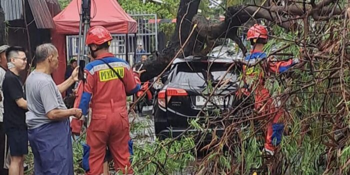 Berita Lima Pohon Tumbang Imbas Hujan Angin di Jakarta, Timpa Mobil dan Rumah