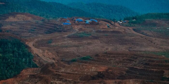 Berita Kemenhut Buka Peluang Jerat Pelaku Perusakan Hutan di Kasus Raja Ampat