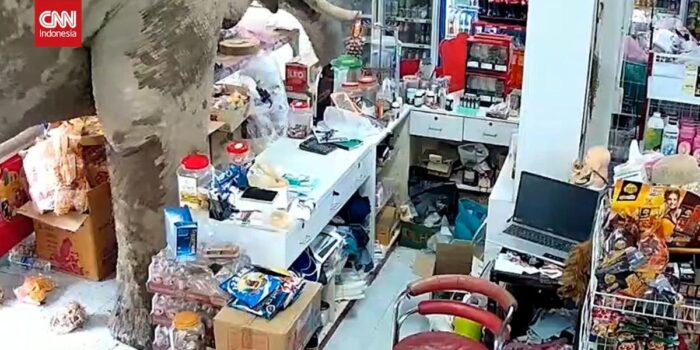 Berita Fenomena Unik Gajah di Thailand ‘Jajan’ di Swalayan