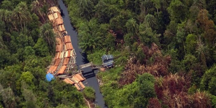 Berita Satgas PKH Kembali Kuasai 2,09 Juta Hektare Hutan, Termasuk Tesso Nilo