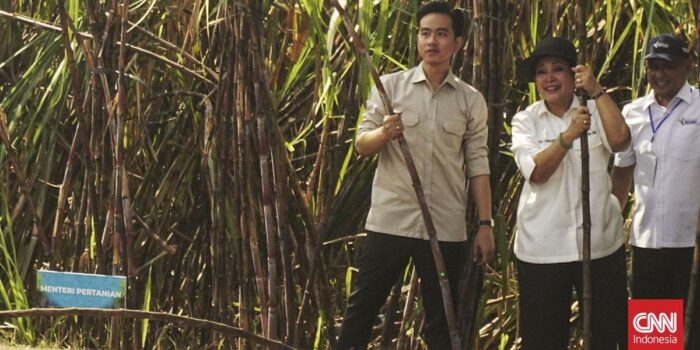 Berita Gibran Minta Pelaku Pembakaran Hutan Ditindak Tegas