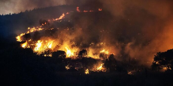 Berita Eropa Diterjang Gelombang Panas, Kebakaran Hutan di Mana-mana