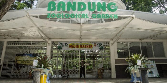 Berita Walkot Bandung Beri Ultimatum Terkait Sengketa Manajemen Bandung Zoo