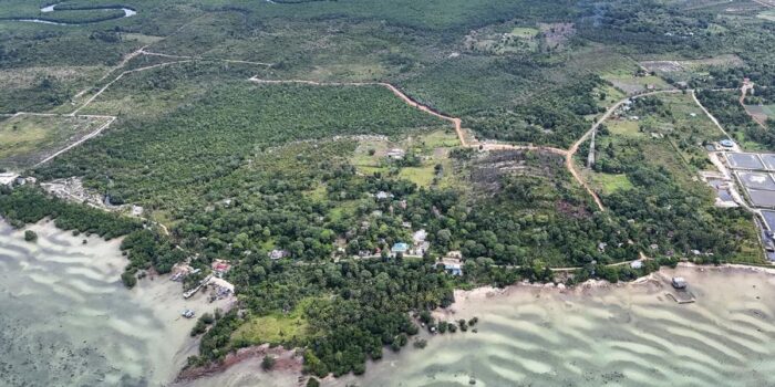 Berita Dugaan Jual Beli Pulau Panjang NTB, Menteri Kehutanan Buka Suara