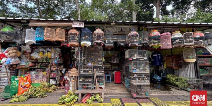 Berita Pedagang Barito Diminta Kosongkan Lapak 3 Agustus demi Taman ASEAN