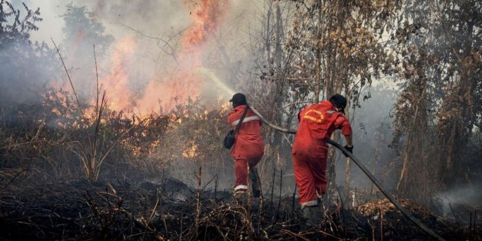 Berita Riau Tetapkan Darurat Bencana Karhutla