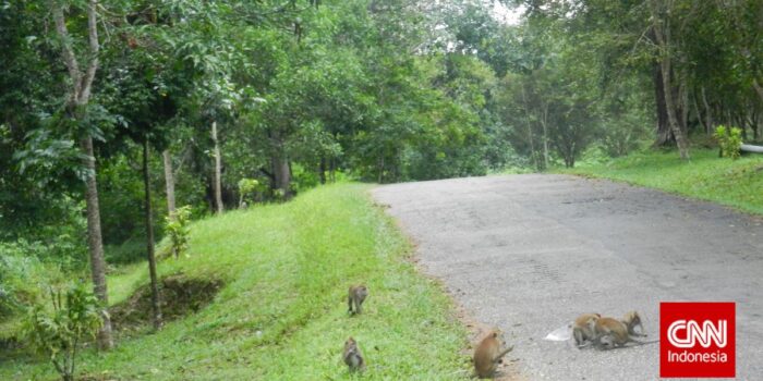 Berita Ini Sejarah Pulau Galang, Pernah Tampung Pengungsi Perang Vietnam