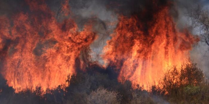 Berita 80 Ribu Hektare Lahan Hangus Imbas Kebakaran Hutan California