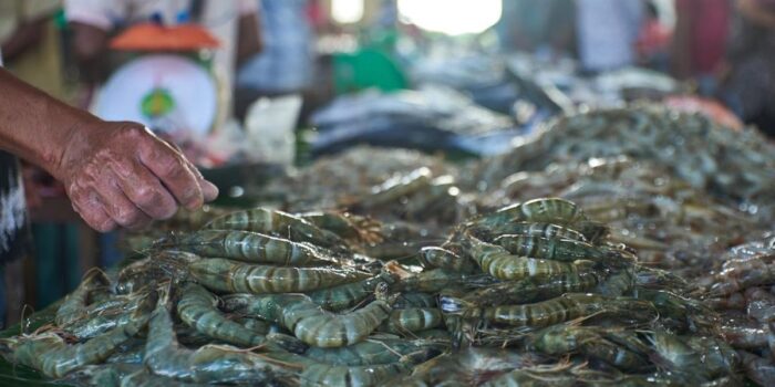 Berita Waspada! FDA AS Tarik Udang Impor dari RI Diduga Terkontaminasi Cs-137