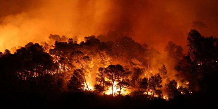 Berita Kebakaran Besar Hutan di Prancis, 11 Ribu Hektare Lahan Hangus