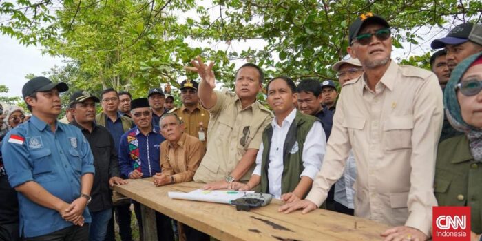 Berita Pemerintah Perbaiki Habitat di Lahan Konservasi Gajah di Aceh