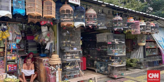 Berita Resah dan Gelisah Pedagang Pasar Barito yang Bakal Direlokasi Hari Ini