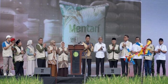 Berita Perkuat Ketahanan Pangan, Muhammadiyah Luncurkan Padi Varietas Mentari