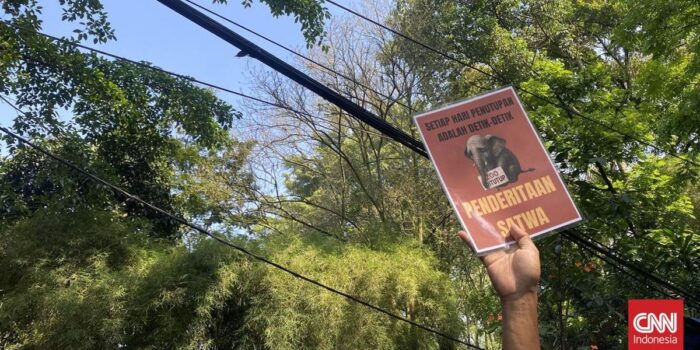 Berita Puluhan Pekerja Bandung Zoo Demo Tuntut Kebun Binatang Dibuka