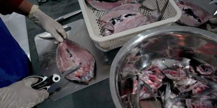 Berita Siswa Keracunan MBG di Banggai Jadi 314 Orang, 26 Masih Dirawat