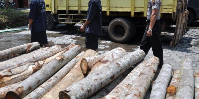 Berita Kejagung Berpotensi Usut TPPU Kasus Pembalakan Liar Hutan di Mentawai