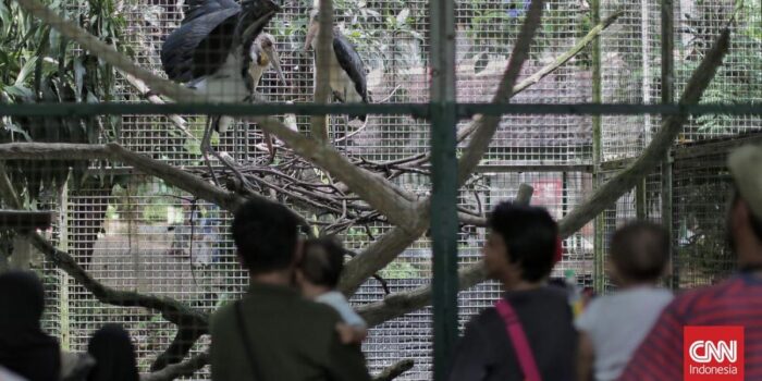 Berita Wisata Malam Ragunan, Petugas Satpol PP Disiagakan