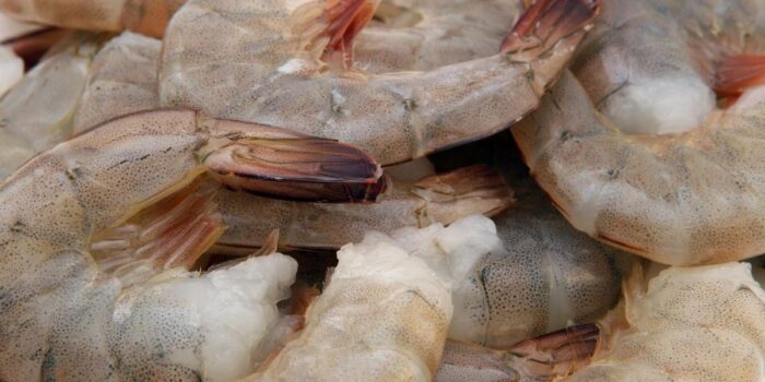 Berita Impor Udang dan Rempah Indonesia ke AS Kini Diatur Ketat FDA