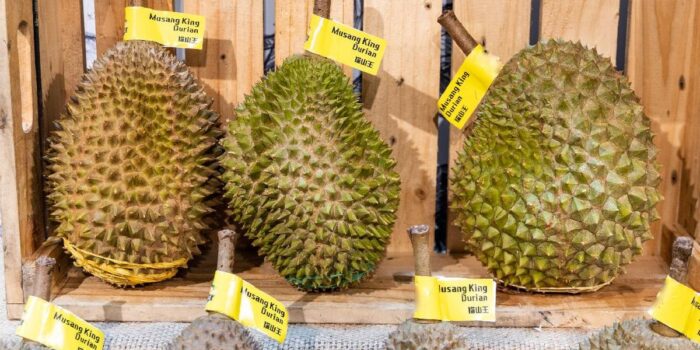 Berita Durian Ilegal dari Malaysia Banjiri Pasar RI, Diduga Capai 10 Ton