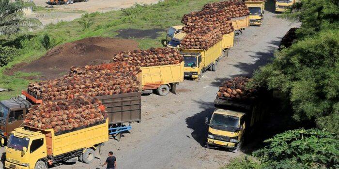 Berita Wagub Aceh Saat Ketemu Truk Pelat Medan, Tanya Sopir ‘Sudah Makan?’
