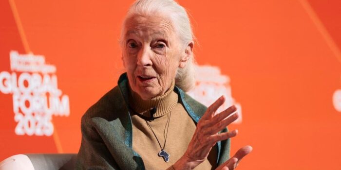 Berita Ilmuwan-Aktivis Pelindung Primata Jane Goodall Meninggal Dunia