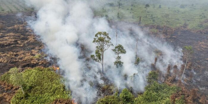 Berita Karhutla di Lereng Gunung Batur Bali Capai 9,8 Hektar