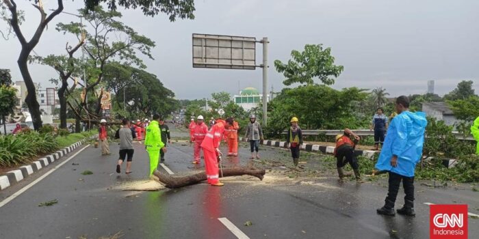 Berita Kawasan BSD Macet, Lima Pohon Besar Tumbang Diterjang Angin Kencang
