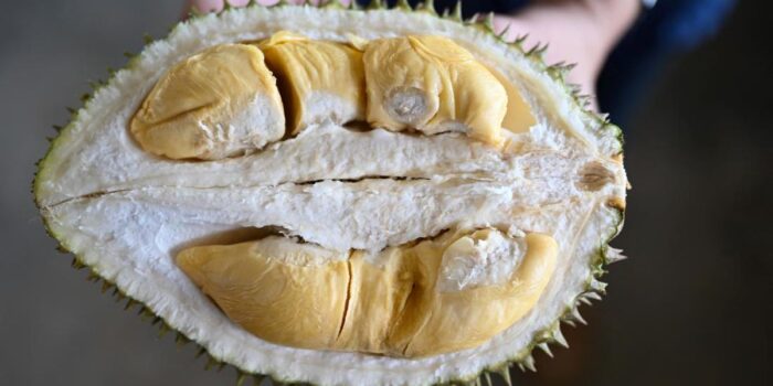 Berita Cegah Durian Ilegal Malaysia Masuk, Bea Cukai Perketat Pengawasan