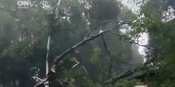 Berita Pohon Tumbang Timpa 5 Mobil di Jaksel, Satu Orang Meninggal Dunia Berita Pohon Tumbang Timpa 5 Mobil di Jaksel, Satu Orang Meninggal Dunia