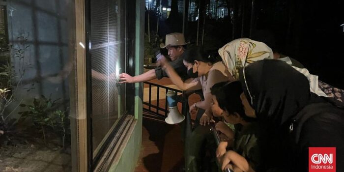 Berita Resmi Dibuka, Wisata Malam Kebun Binatang Ragunan Diserbu Pengunjung