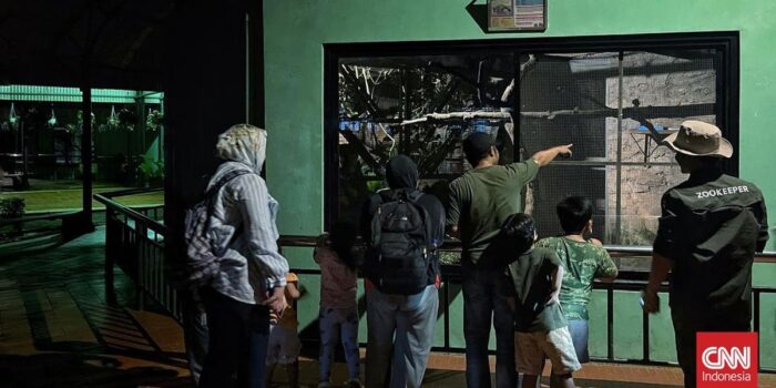 Berita 2.000 Warga Antusias di Hari Perdana Wisata Malam Ragunan