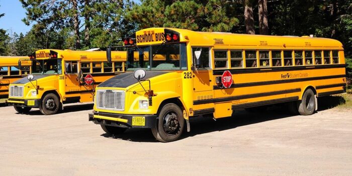 Berita 70 Sekolah di Australia Tutup Imbas Pasir Mainan Terkontaminasi Asbes Berita 70 Sekolah di Australia Tutup Imbas Pasir Mainan Terkontaminasi Asbes