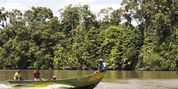 Berita DPR Soroti Isu Pembabatan Kawasan Hutan Mangrove di Sultra