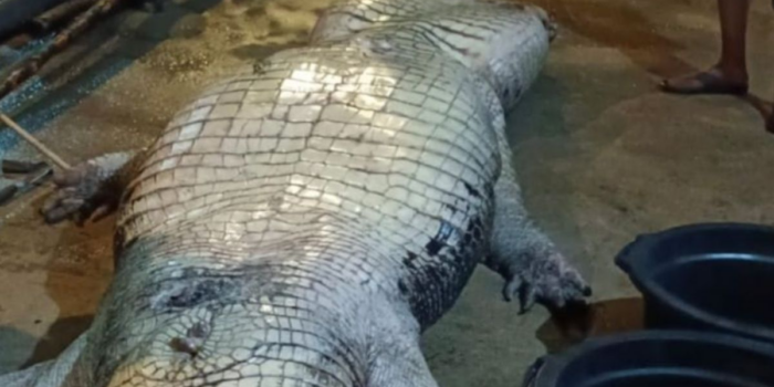 Berita Perut Berisi Karung Goni, Pisau hingga TV