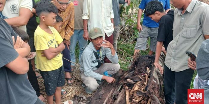 Berita Warga Sergai Hilang 2 Tahun Ditemukan Tinggal Kerangka di Pohon Aren Berita Warga Sergai Hilang 2 Tahun Ditemukan Tinggal Kerangka di Pohon Aren