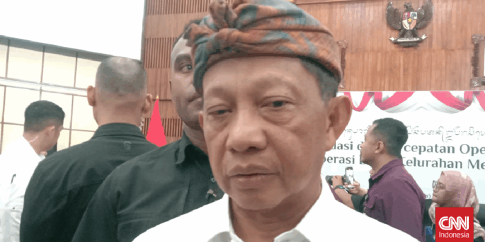 Berita Prabowo Perintah Audit RS di Papua Buntut Ibu Hamil Ditolak 4 RS