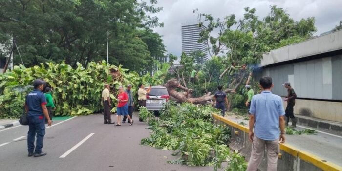 Berita Pohon Tumbang Timpa Mobil dan Atap Jalur Bawah Tanah MRT Senayan