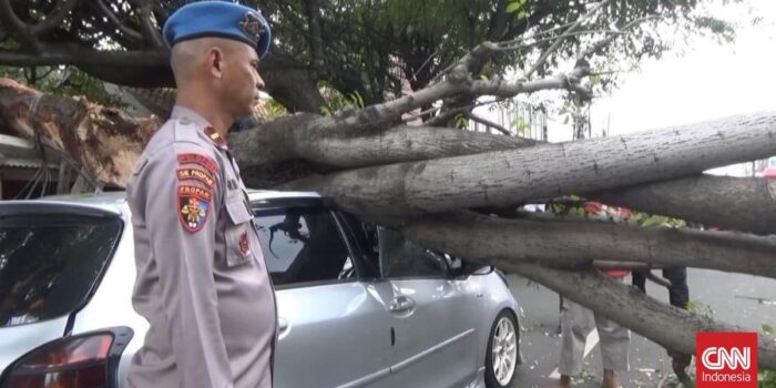 Berita Tak Ada Angin atau Hujan, Pohon di Tangsel Roboh Timpa Mobil Berita Tak Ada Angin atau Hujan, Pohon di Tangsel Roboh Timpa Mobil