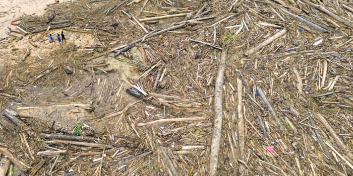 Berita Kayu Gelondongan Menumpuk di Pantai Padang Pascabanjir