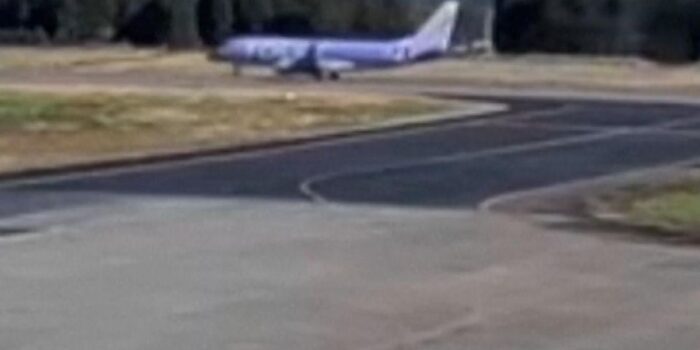 Berita Momen Anak Beruang Masuk Bandara di Jepang, Penerbangan Dihentikan Berita Momen Anak Beruang Masuk Bandara di Jepang, Penerbangan Dihentikan