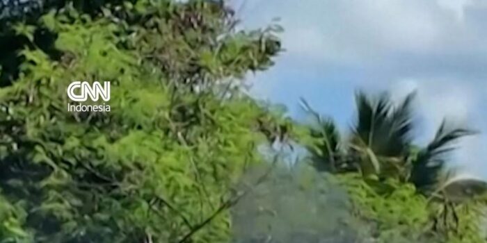 Berita Republik Dominika Musnahkan 1.8 Ton Narkoba