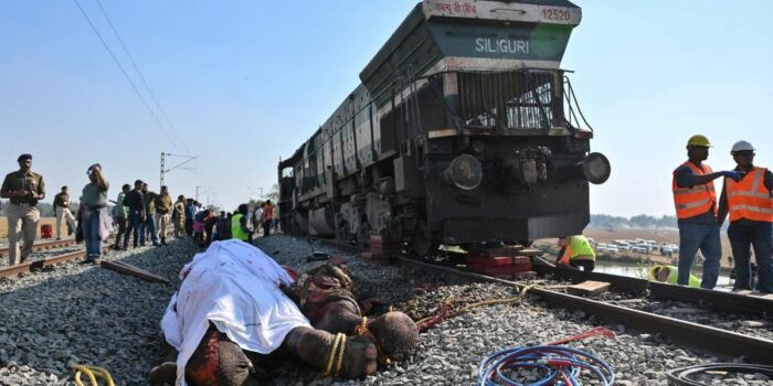 Berita 7 Ekor Gajah Tewas Ditabrak Kereta di India, Gerbong Tergelincir
