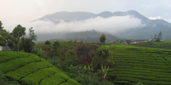 Berita Gempa Magnitudo 4,7 di Solok, PVMBG Naikkan Status Gunung Talang Berita Gempa Magnitudo 4,7 di Solok, PVMBG Naikkan Status Gunung Talang
