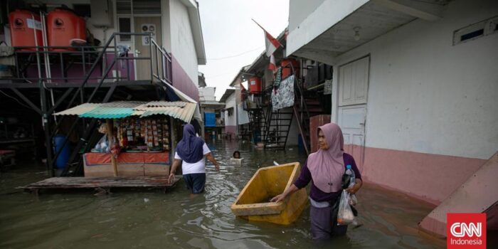 Berita Banjir Rob Terjang Wilayah Pesing hingga Jelambar Baru Jakbar Berita Banjir Rob Terjang Wilayah Pesing hingga Jelambar Baru Jakbar