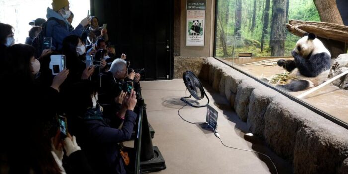 Berita Hubungan Kian Retak, Diplomasi Panda China-Jepang di Ujung Tanduk