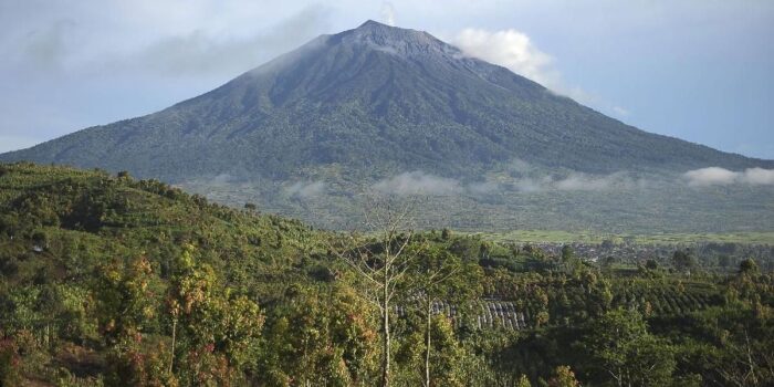 Berita Menhut Turun ke Seblat, Restorasi Konservasi Gajah Dimulai