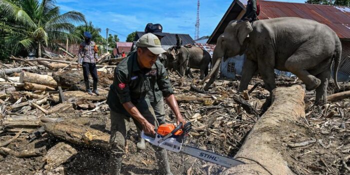 Berita Komnas HAM Aceh Sebut Bencana Sumatra Penuhi Indikator Status Nasional